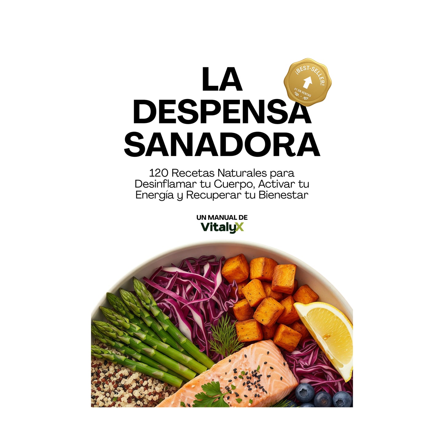 Libro digital La Despensa Sanadora